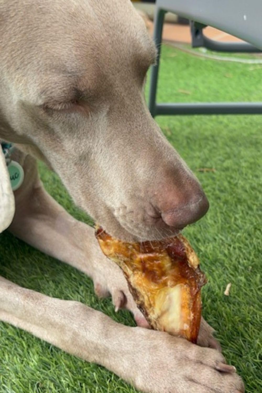 Friandises Naturelles pour Chiens, Cartilage de bœuf – Lot 700g. | Mastication Déshydratée Savoureuse et Saine