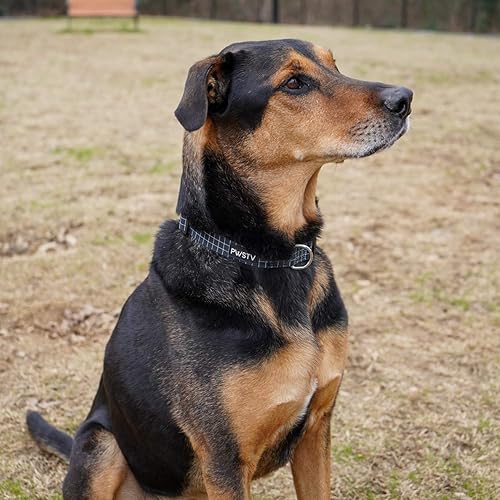 Miniatura 6 de The Pawsitive Co. - PWSTV. Collar y correa de colección para perro  collares y correas de perro (cada uno se vende por separado)., L, Pata de gallo