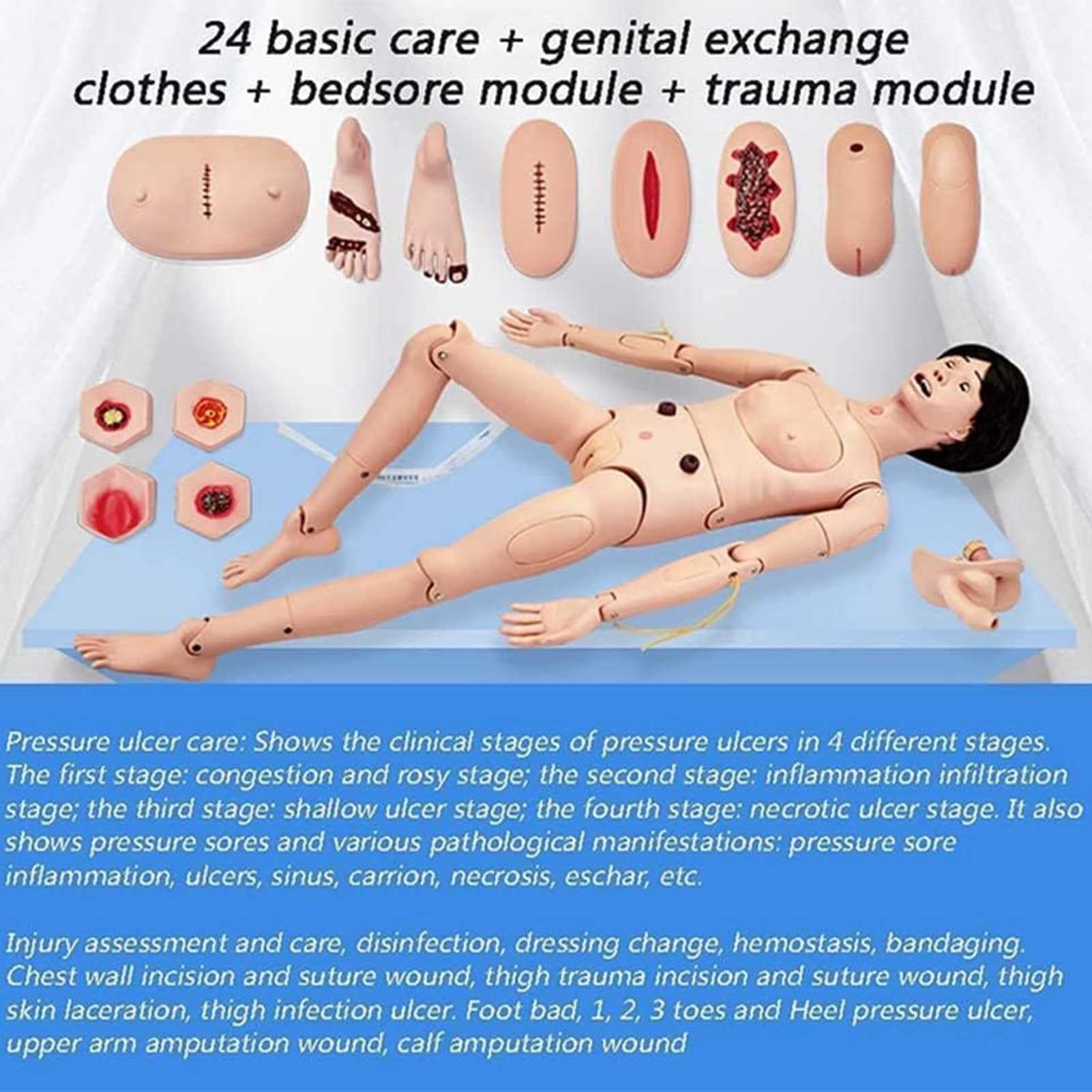 DFEDHF Scientific Anatomical Human Model Geriatric Patient Care Skills Training Manikin with Interchangeable Genitals and Bedsore Modules Nursing Manikin