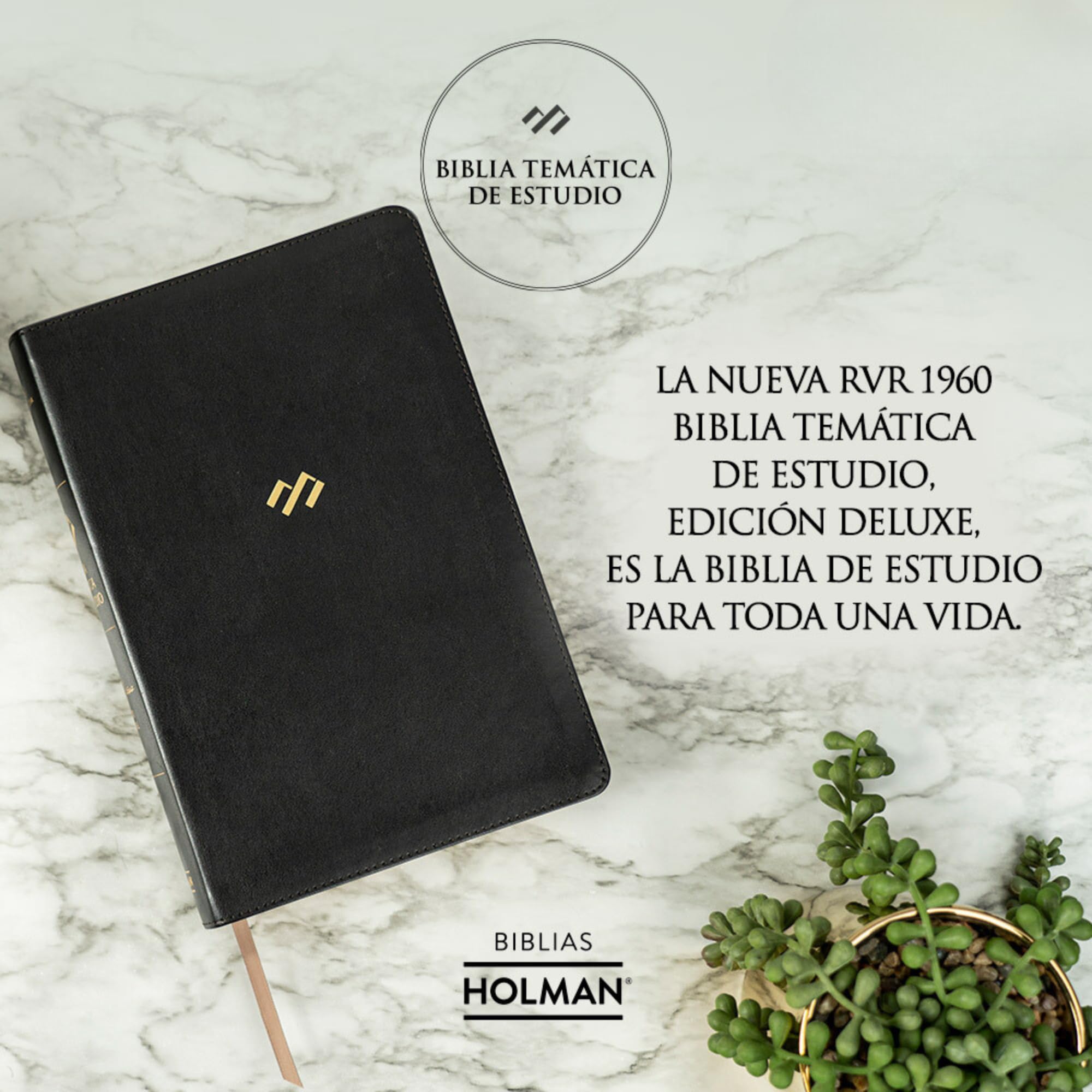 RVR 1960 Biblia temática de estudio, edición deluxe, piel ge: RVR 1960 Biblia temática de estudio, piel genuina negra/ Study Bible, Black Genuine Leather