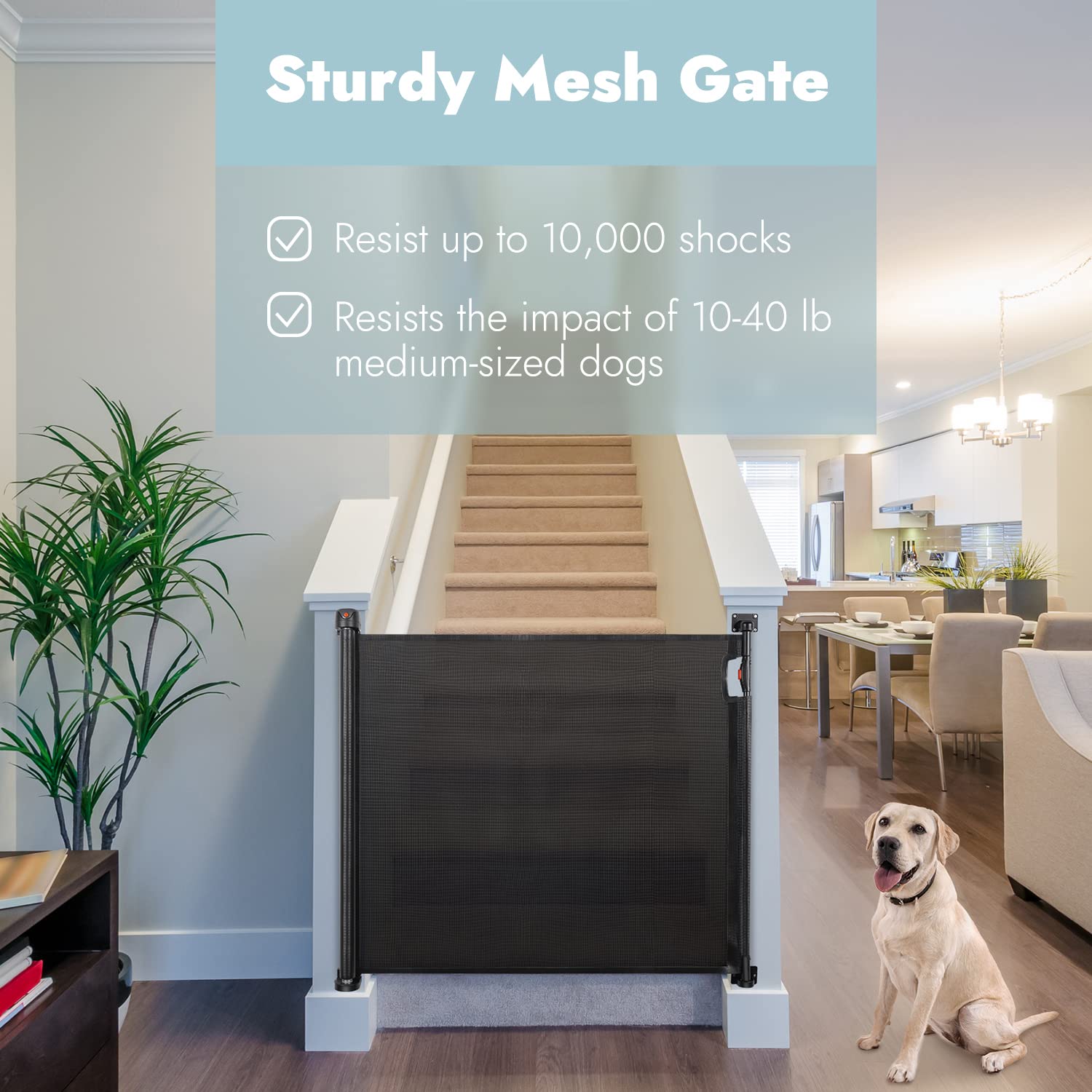 Papablic Retractable Baby Gat...B09J4MZM4S