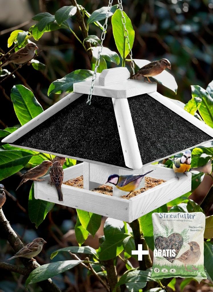 Mangiatoia per uccelli 1