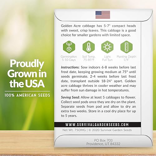 Miniatura 2 de Survival Garden Seeds - Semilla de col verde Golden Acres - 2 paquetes con instrucciones para plantar y cultivar repollos de color amarillo y blanco