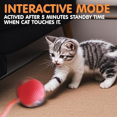 Rocfish Durable Interactive Cat Toys for Indoor Cats — close-up of materials and construction quality