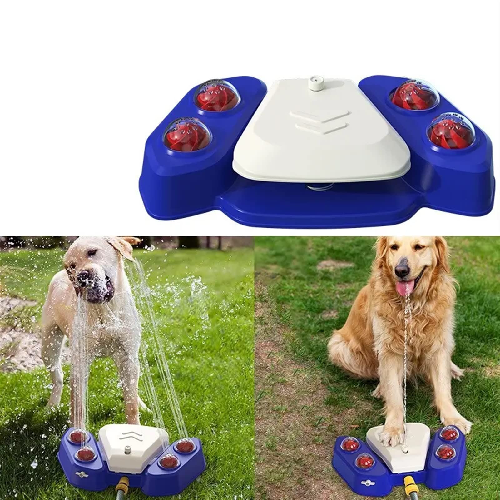 TOBSDMultifunctional Dog Automatic Drinking Fountain Dog Water Dispenser Pet Fountain，Funny Dog Toys Keep Pets Cool，Easy to Drinking/Water-Play (Color : Blue)