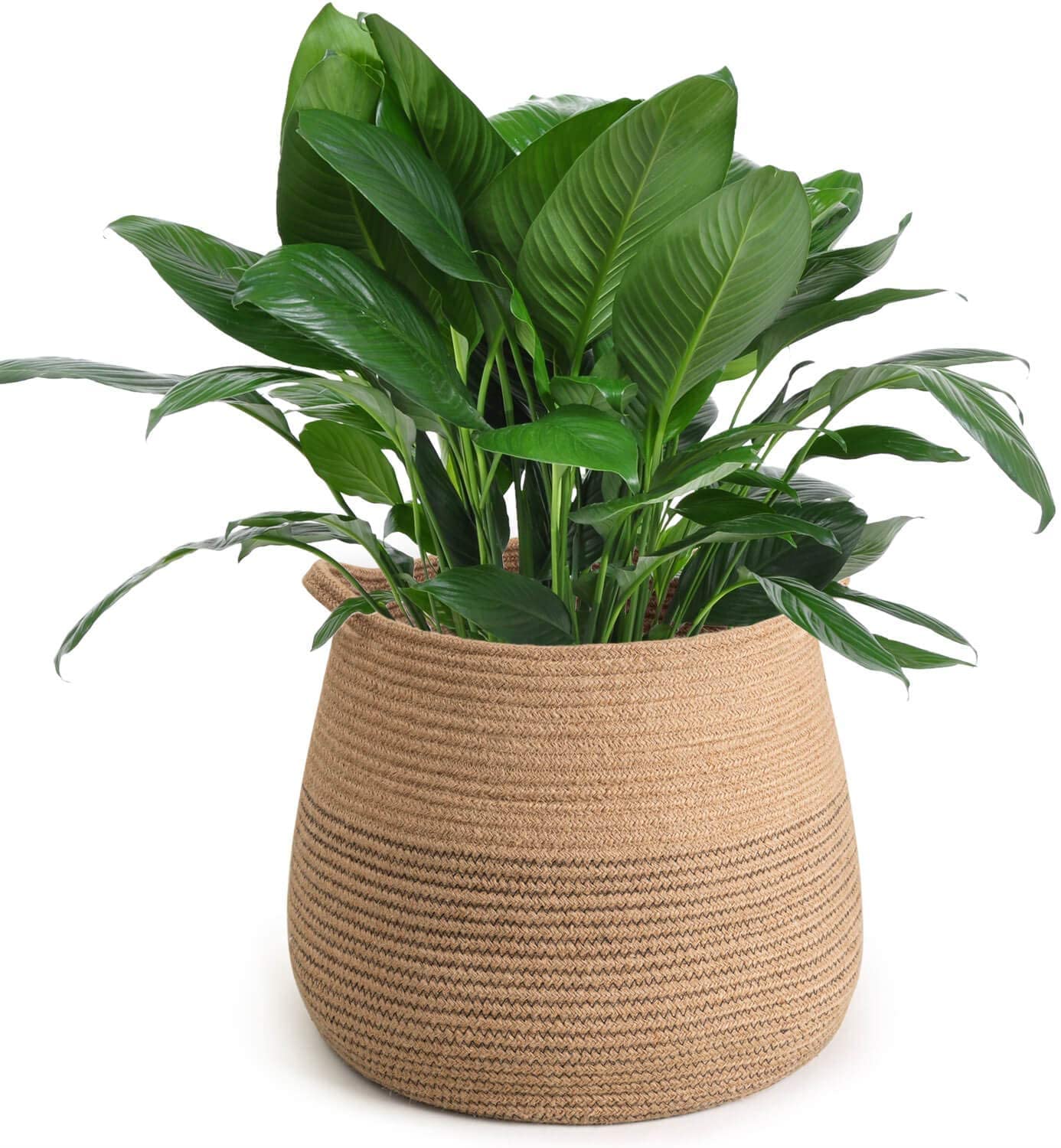 ALBY Plant Basket Woven Organizer for Storage Laundry Picnic Plant Pot Cover (B0B1CCPGTW) Amazon Price History, Amazon Price Tracker