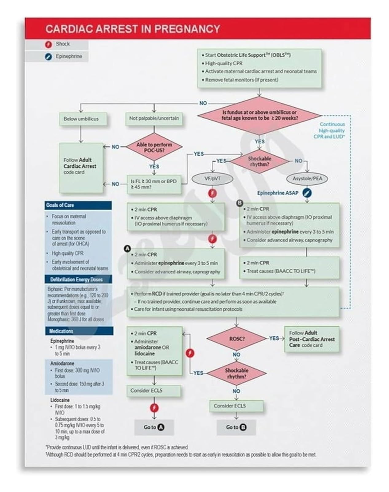 BIANMTSW Emergency OBGYN Guide Cardiac Arrest in Pregnancy Poster for Critical Care Units Education Unframed,08x12inch(20x30cm)