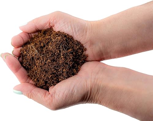 Miniatura 3 de Mezcla de coco orgánico de primera calidad para jardinería en casa, enmienda totalmente natural del suelo, pH equilibrado y doble lavado de coco por