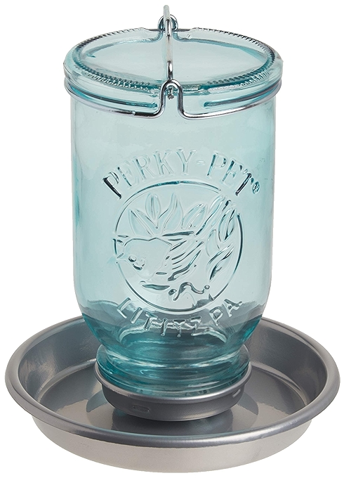 蓝色野生鸟类饮水器