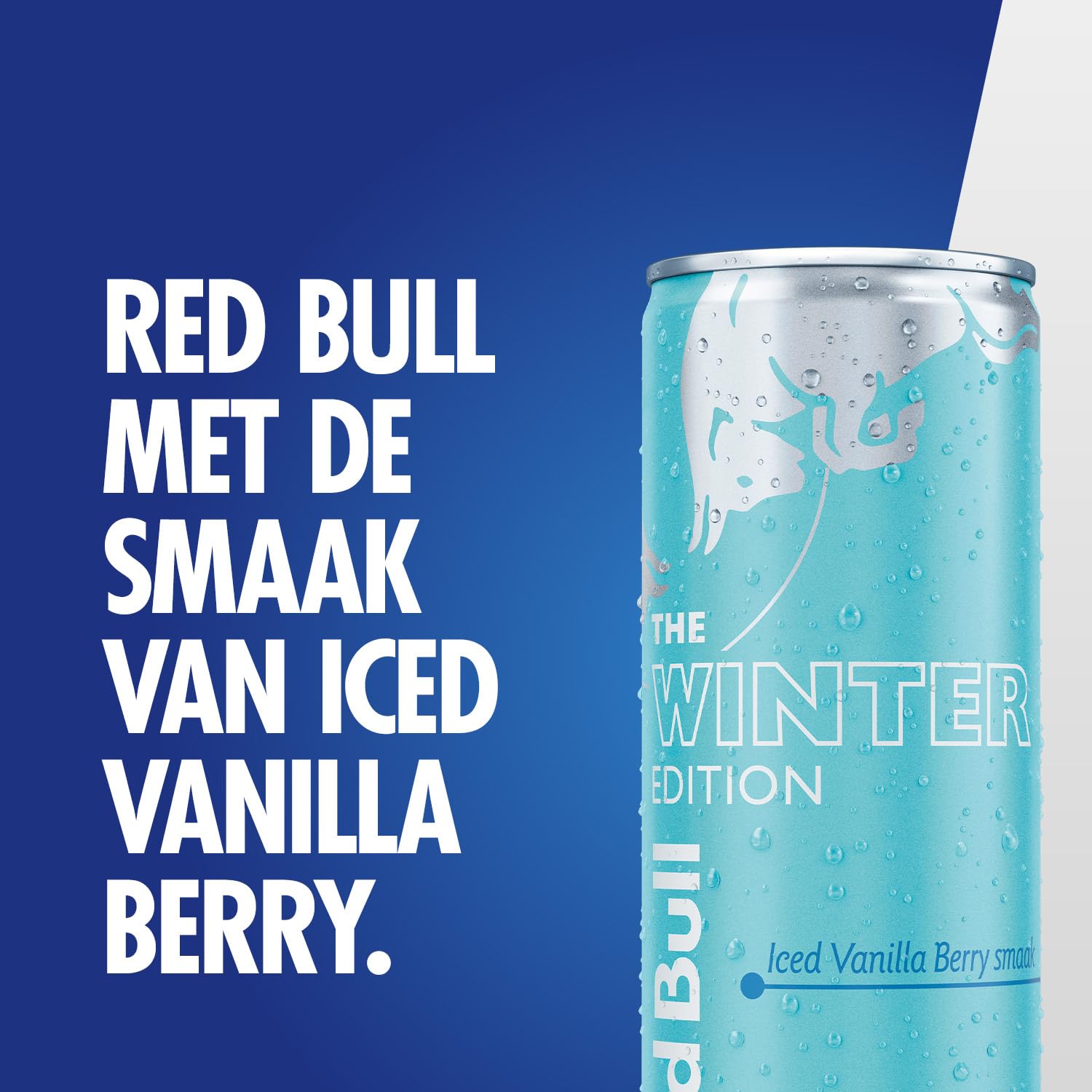 Red Bull - The Winter Edition Iced Vanilla Berry - sleekcan - 12x25 cl - NL