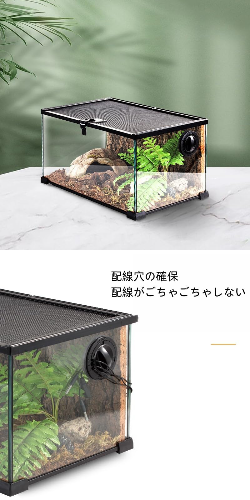 Amazon | グラステラリウム 折りたたみ式21/31/50cm爬虫類ケージ 3分で
