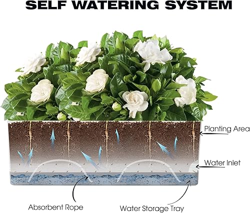 Miniatura 2 de Macetas de riego automático para plantas de interior, paquete de 2 macetas de plástico de 17 pulgadas, macetas para plantas de interior y exterior,