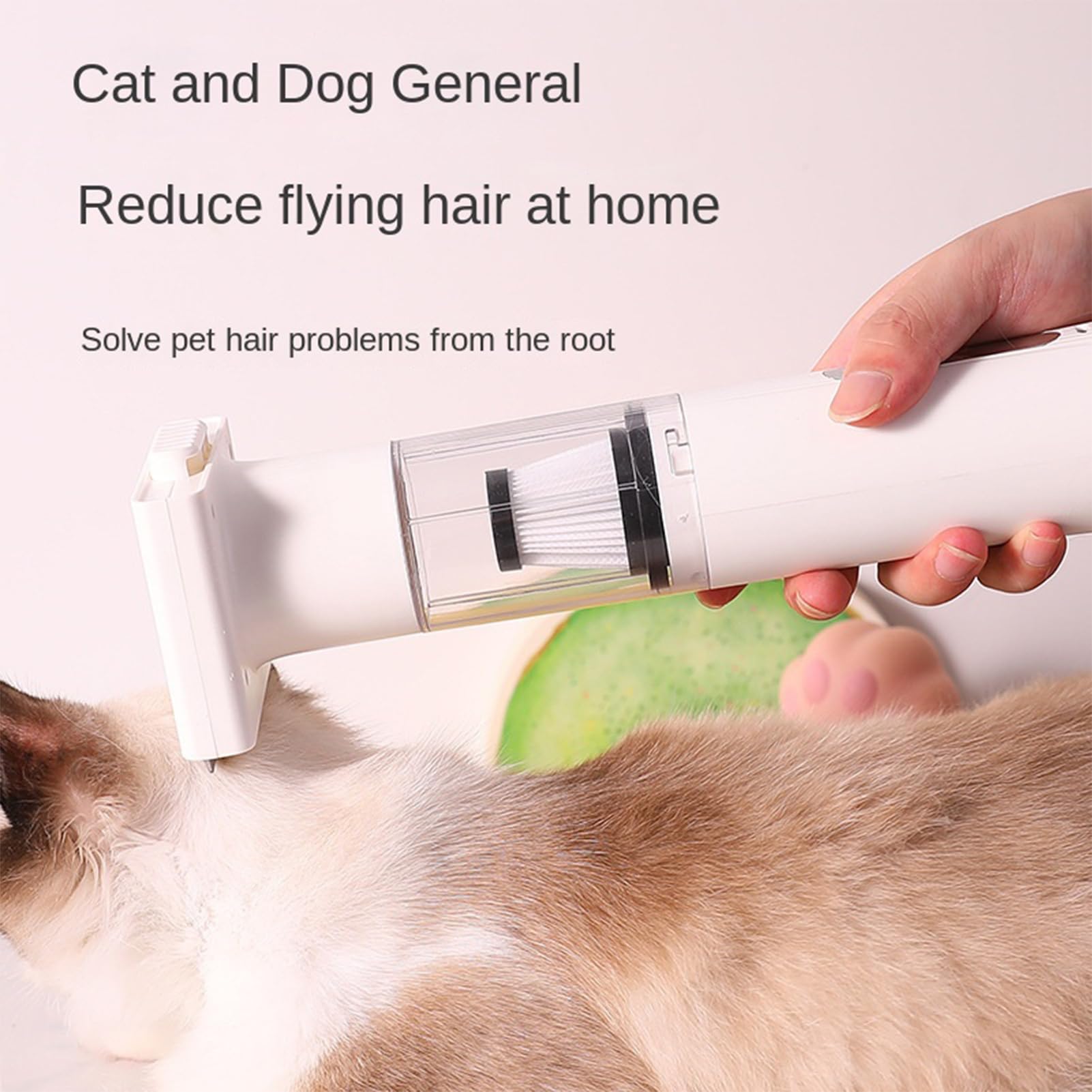 Aspirateur pour toilettage chien sans fil silencieux avec buses