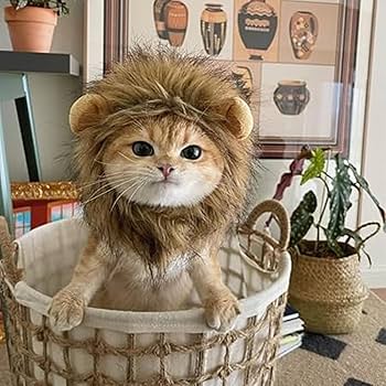 Amazon | 猫被り物 ライオン 犬 猫用ウィッグ ペット用帽子