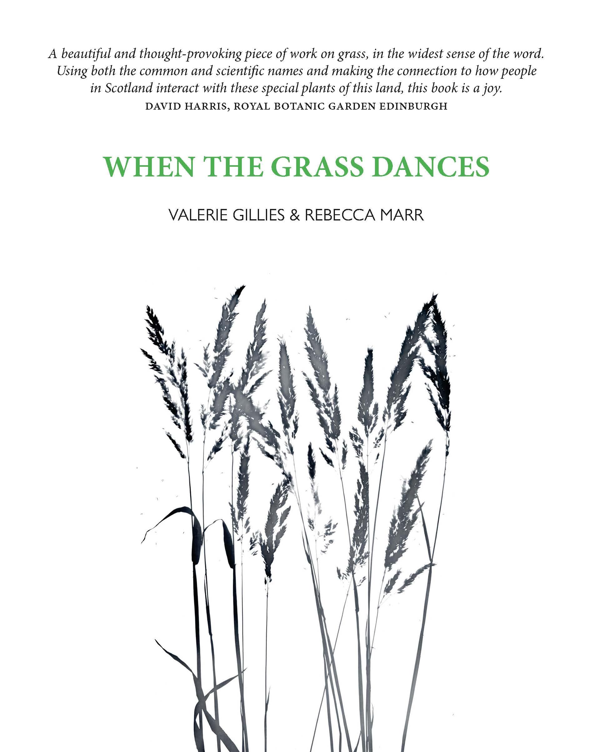 When the Grass Dances by Valerie Gillies, Rebecca Marr - 9781804252413