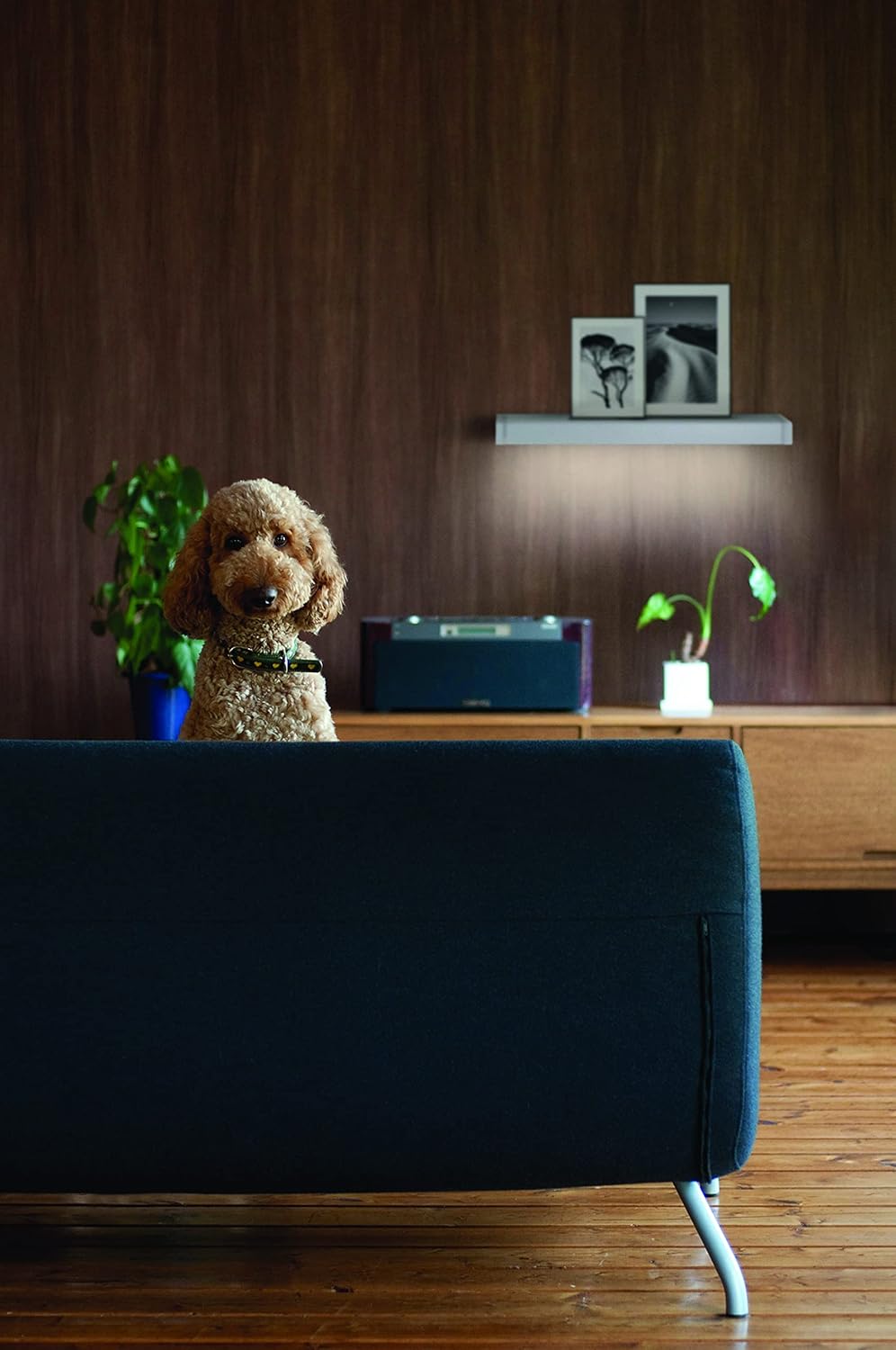 LEDVANCE Linear LED Shelf Light installed above a shelf in a modern living room, illuminating decorative items.