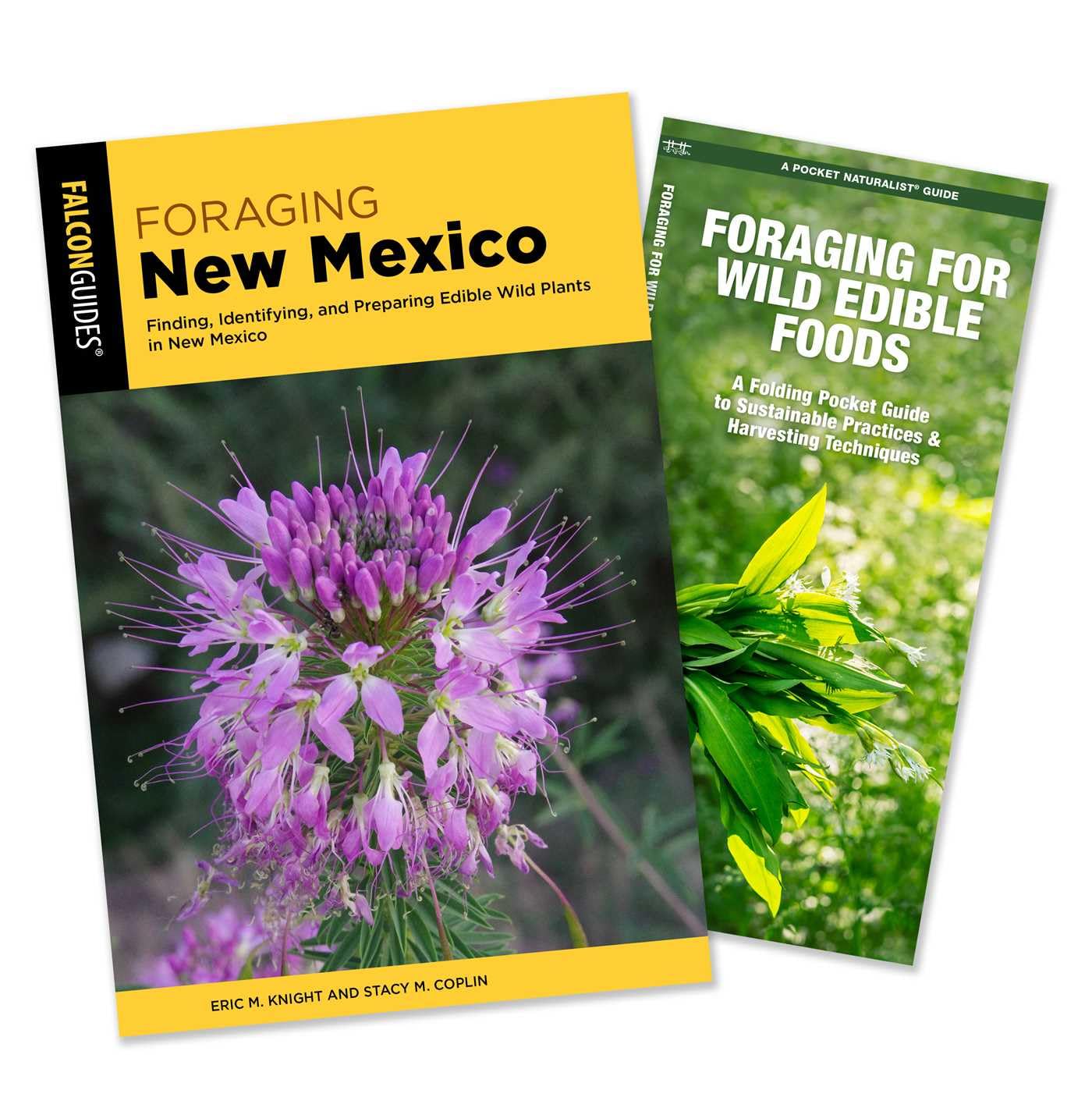 Foraging New Mexico Guidebook and Folding Pocket Guide Bundle: Finding, Identifying, and Preparing Edible Wild Plants in New Mexico