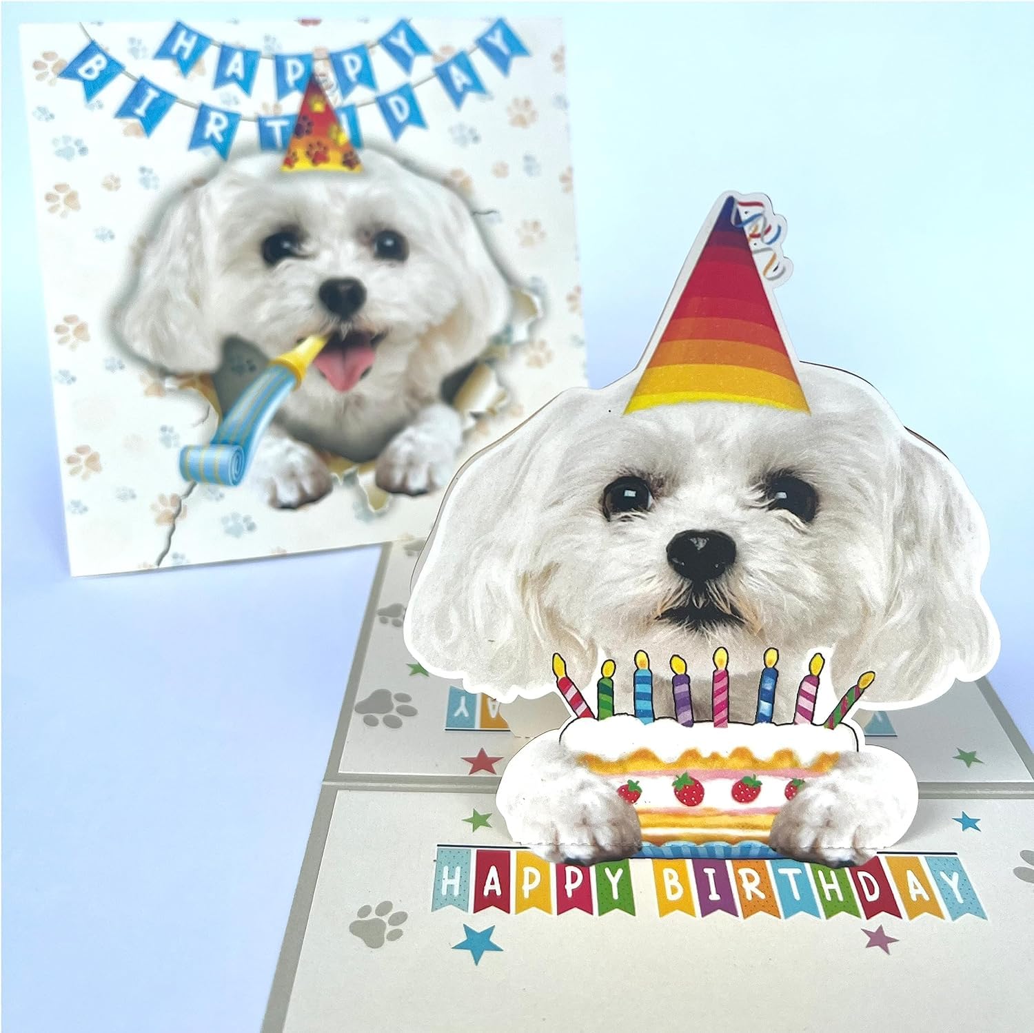 Momapopup 3D Pop-Up Maltese Dog Birthday Card - Cute Dog with Cake Celebration, Whimsical Happy Birthday Greeting for Dog Lovers - Maltese Dog 3D