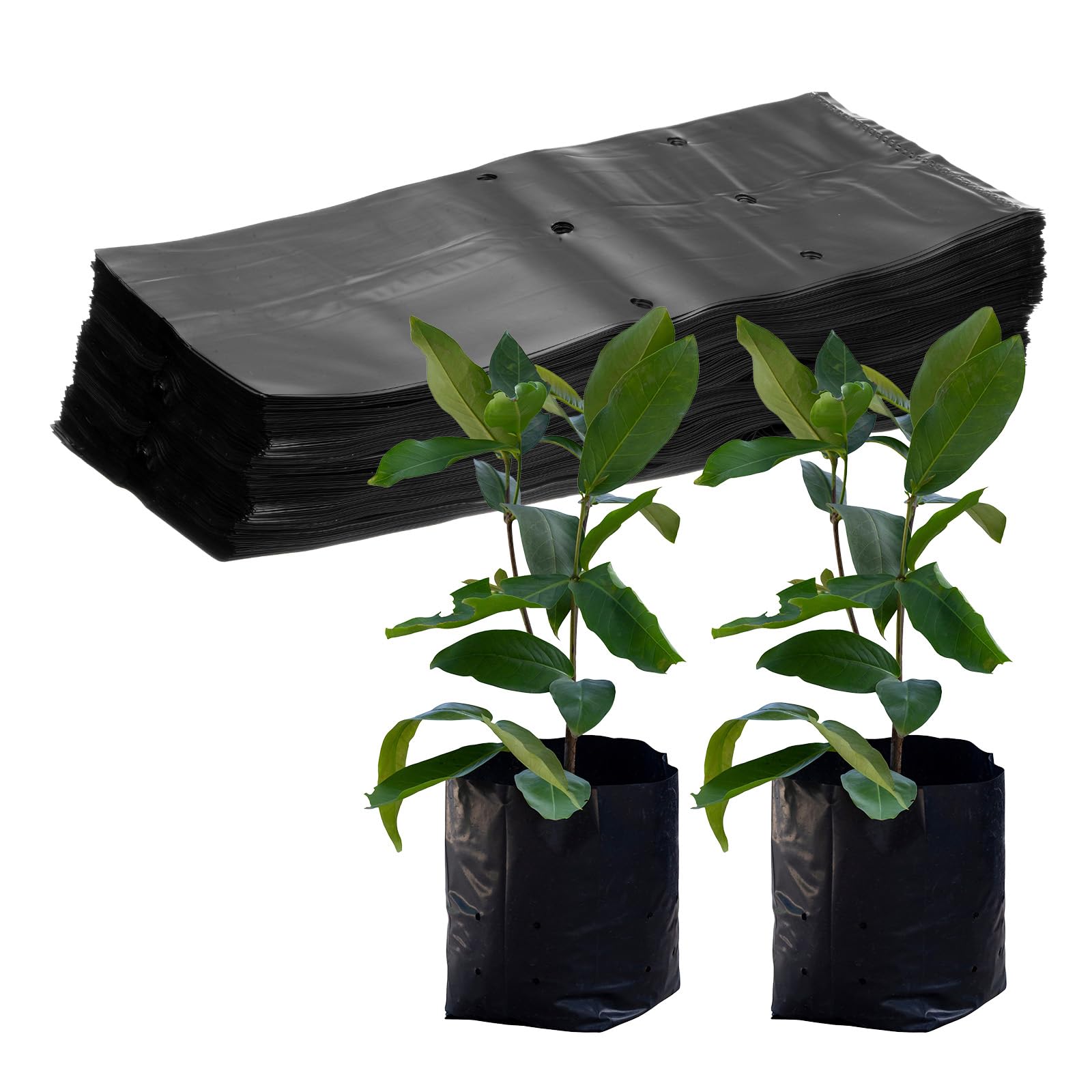 M METERXITY 100-Pack Nursery Growing Bags, 9.4" x 12.2" Thicken Plastic Nursery Bags
