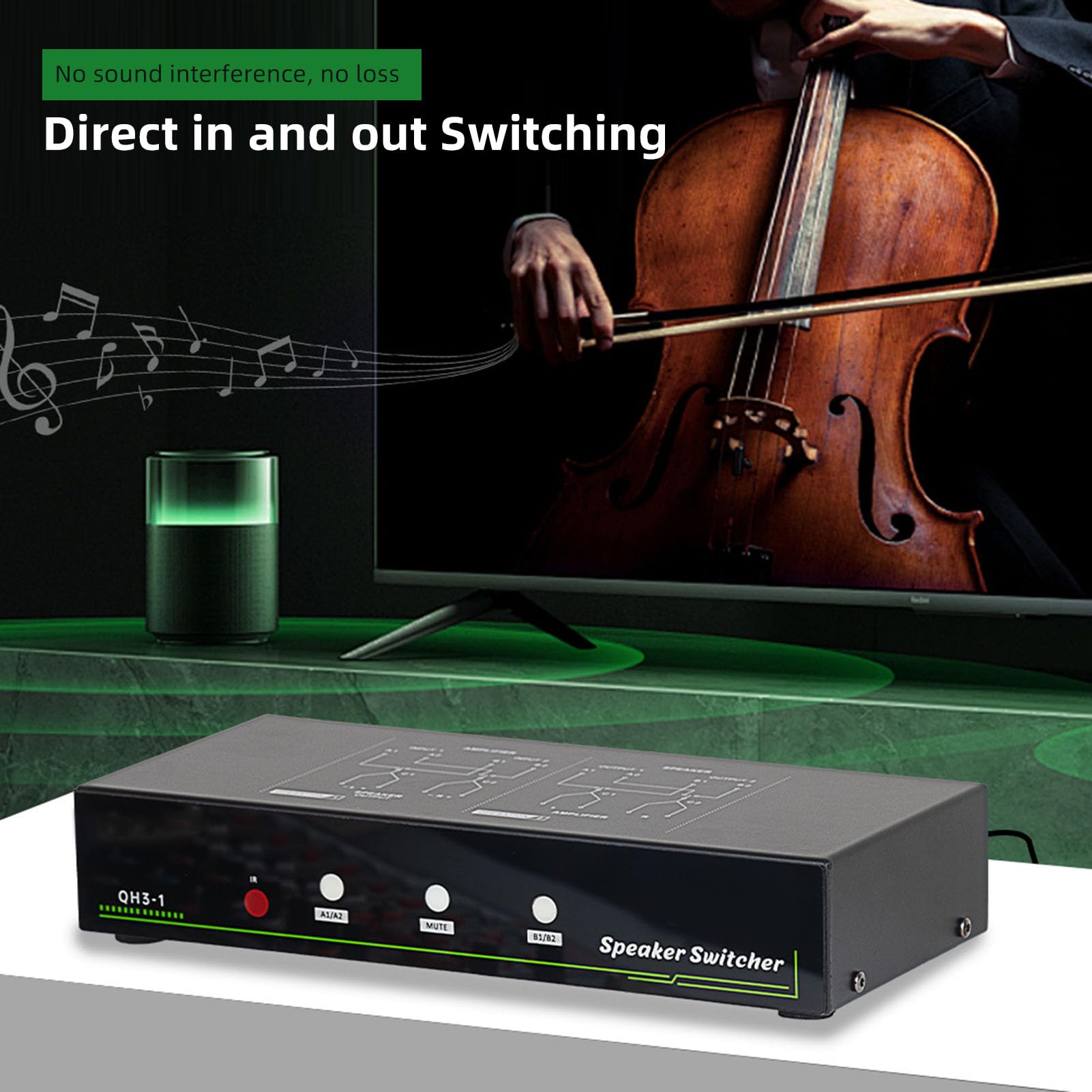 Selettore Manuale per Altoparlanti a 2 Zone, Commutatore con Interfaccia XLR e Telecomando, per Sistemi Audio (Spina europea)