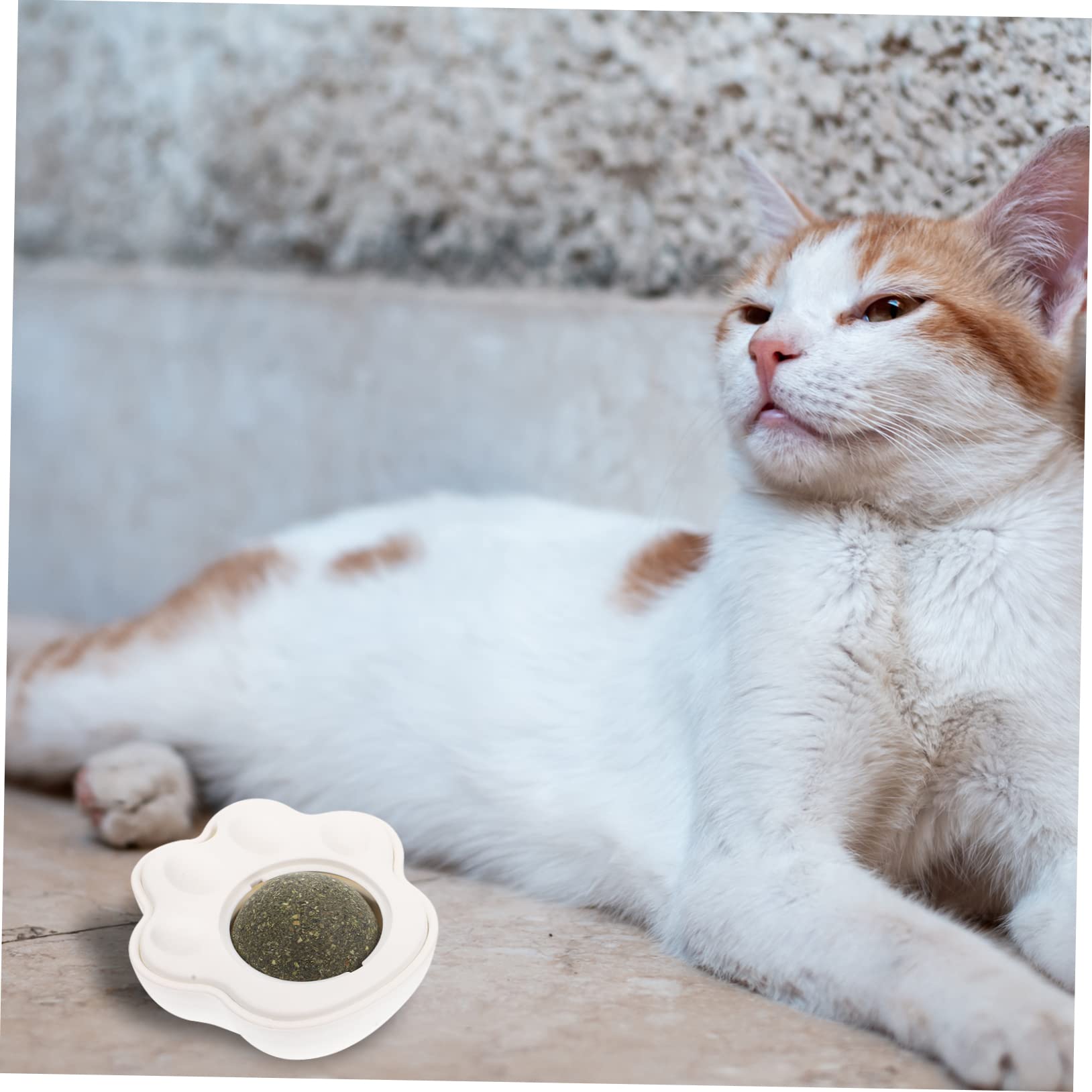 VANZACK 6sätze Katzenspielzeug Aus Claw Shape Catnip Bällen Rotierende Selbstamüsierende Katzenminze Spielzeuge Für Drinnen Fördert Die Zahngesundheit Und Sorgt Für Spaß
