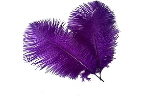 Sowder Purple Feathers for Home Decoration