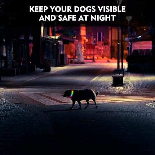 Miniatura 3 de NOVKIN Collar LED para perro, collar de perro recargable RGB que cambia de color, luces impermeables para perros que hacen que la mascota sea