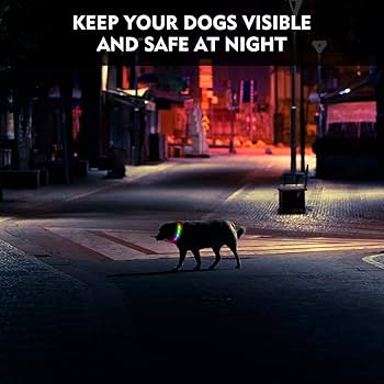 2 Pieces Glow Dog Collar Light 3 Modes Silicone LED Dog Cat Lights Clip-on For Night Dark