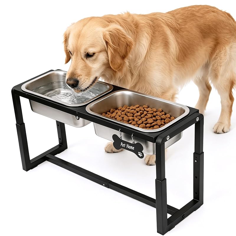 Comedouro Elevado para Cães Flodomix com 3 Alturas Ajustáveis e 2 Tigelas de Aço Inoxidável FDB-B01-2 in 1, Preto, 4,54 L