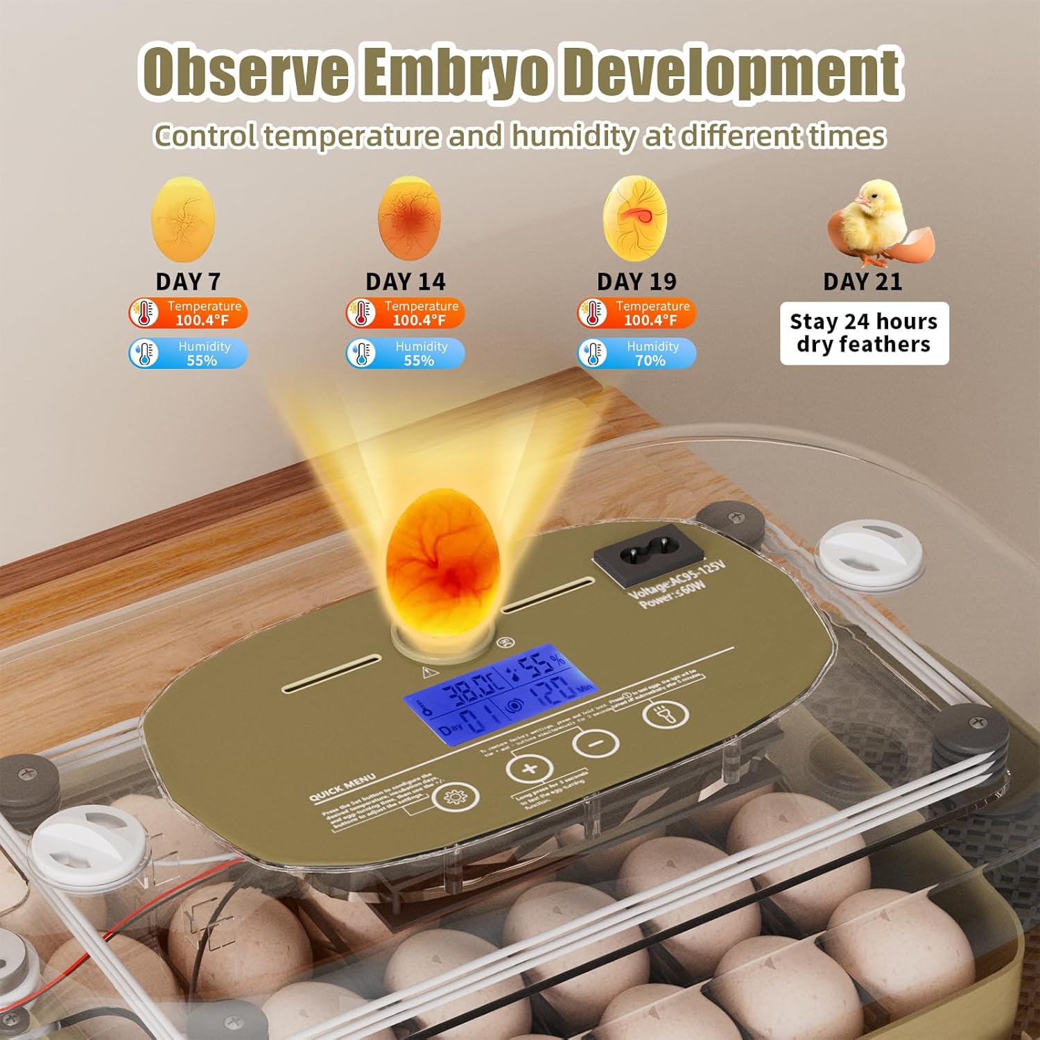 XOTTI Incubator for Hatching Eggs, 24 Egg Incubator with Precise Temperature Control, Auto Egg Turner, 360° Clear View, LED Candler, Alarm for Chicken Duck Quail Goose for Home School Farm Lab