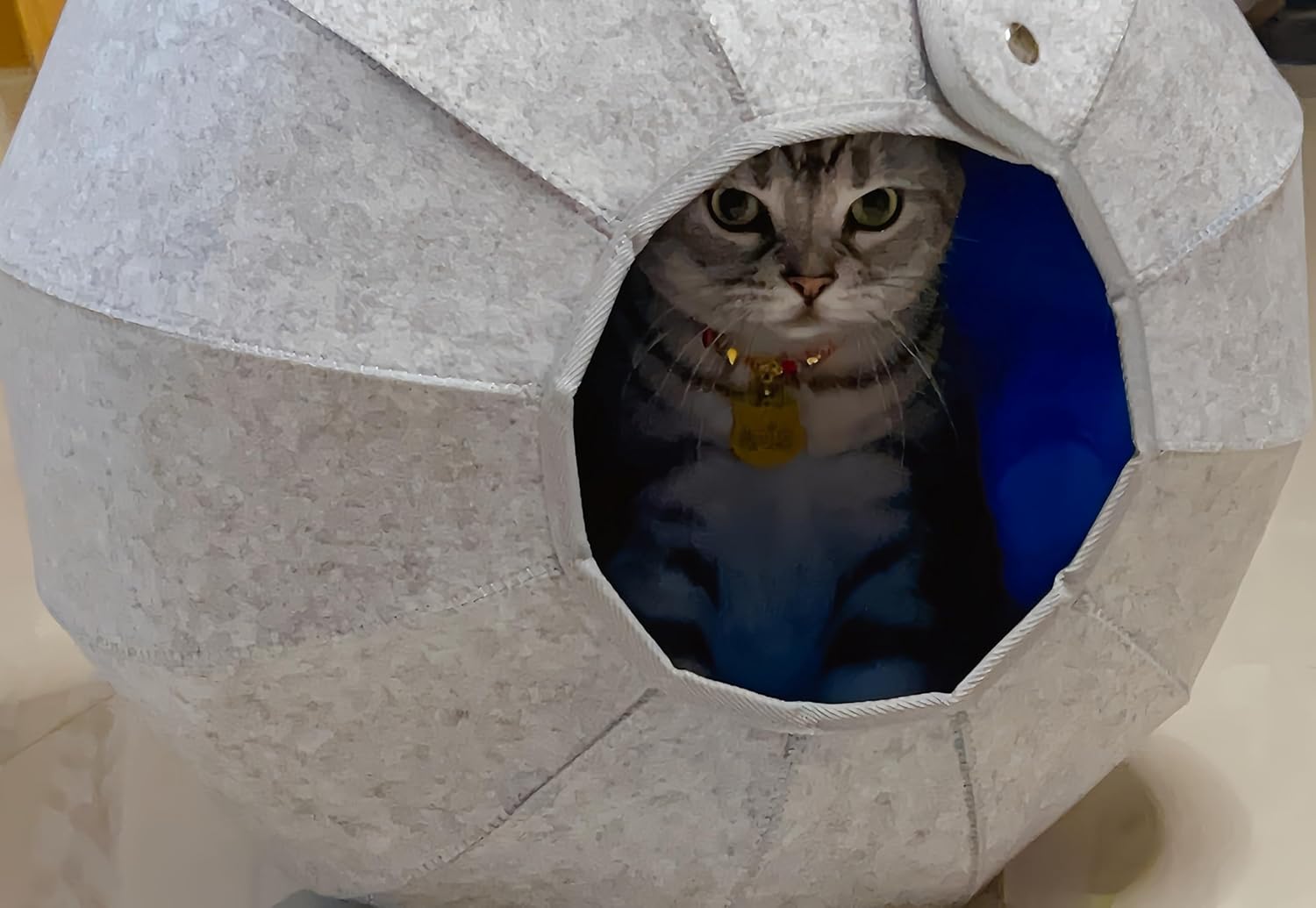 Multi-Functional Cat Tunnel Bed, Deformable Cat Tunnel Toys with Felt Lining, Warm Hideout for Indoor Cats, 14.17 Inch Diameter with Multiple Colors (Turquoise)