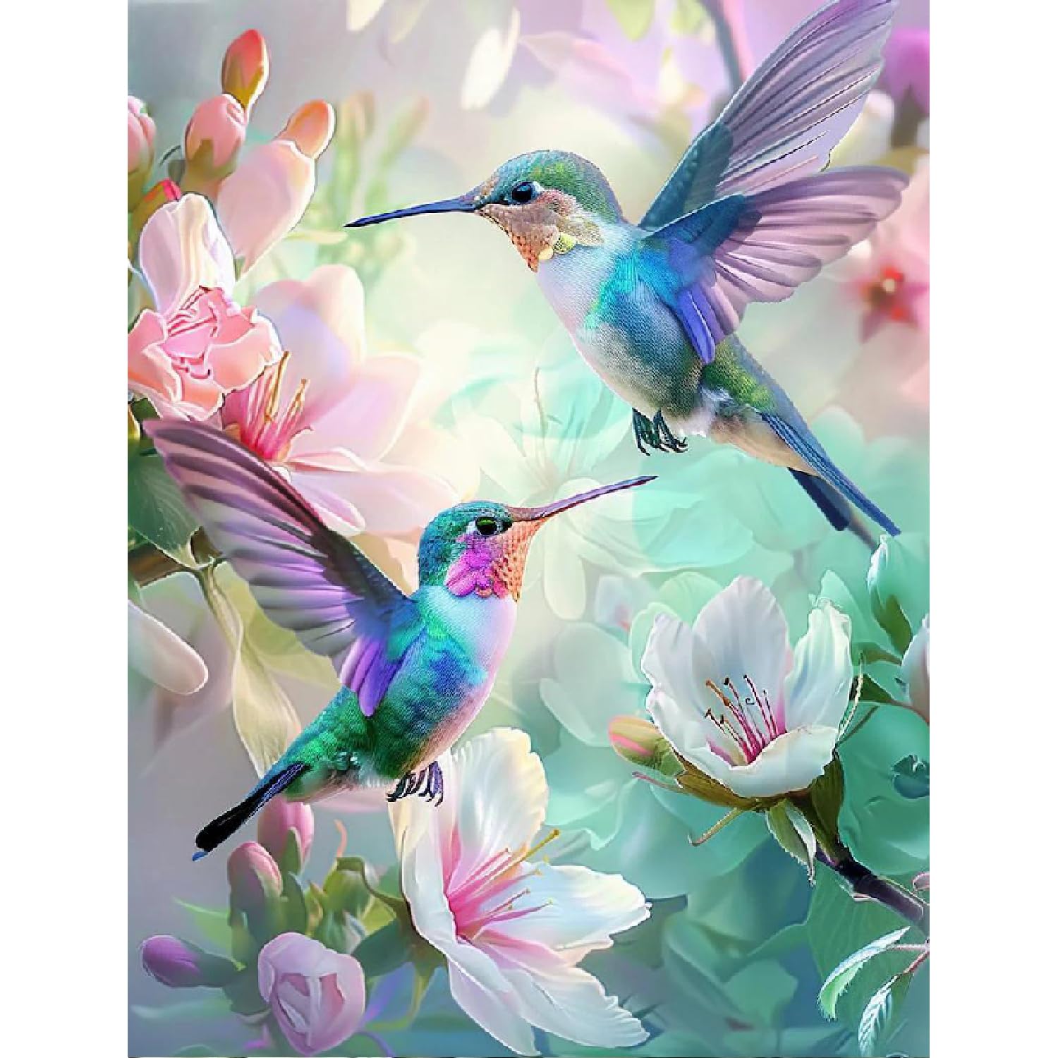 Amazon.com: Hummingbird Diamond Art Kits for Adults, Birds Round Full ...