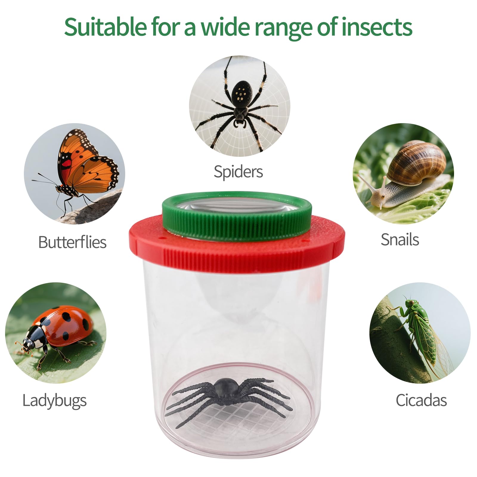 2 Pezzi Boite a Insectes Enfant, Barattolo Lente per Insetti Scatola con Pinzette, Kit Insecte Enfant Giochi di Esplorazione, Bambini Strumento Esplorazione Delle Scienze Della Natura