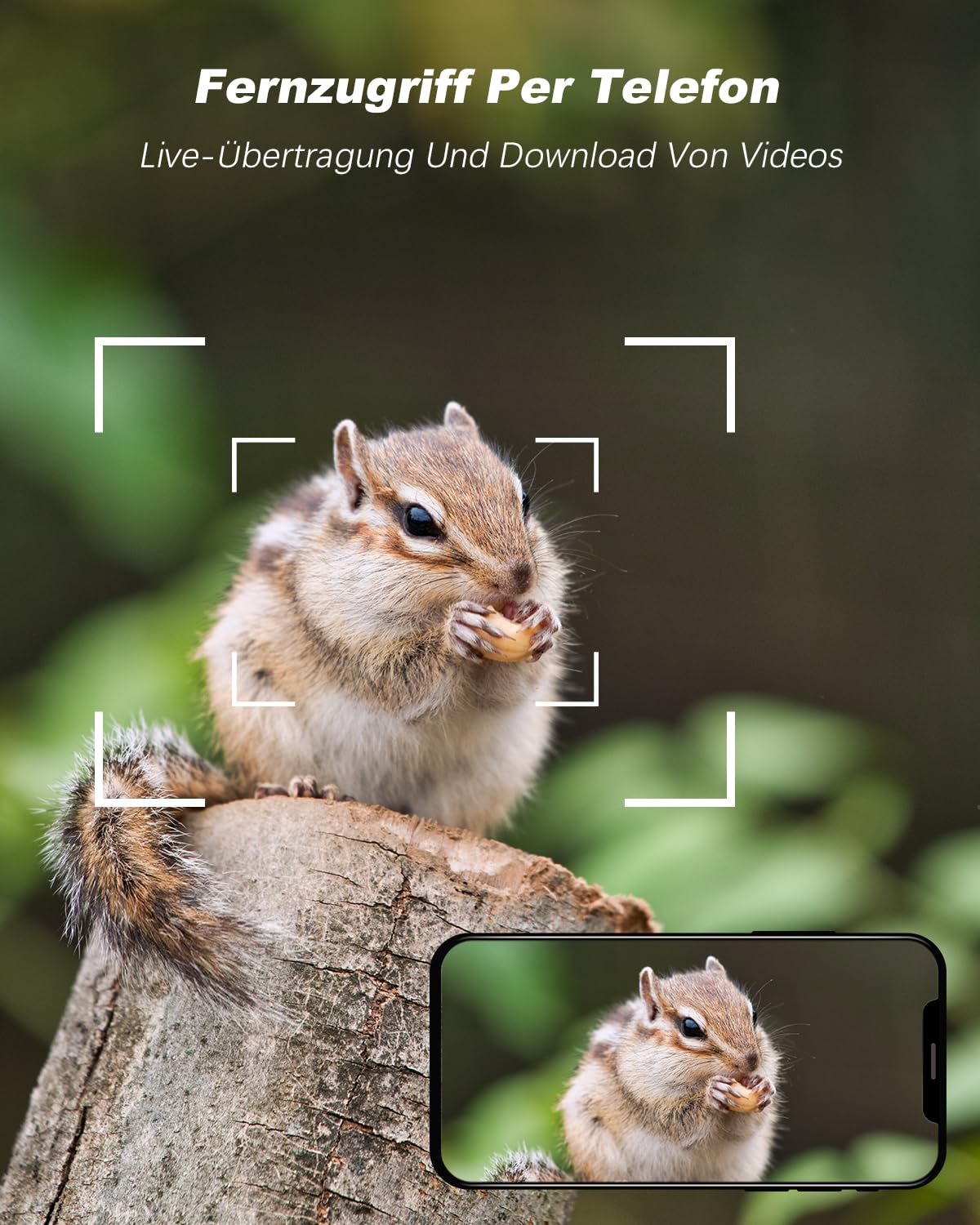Xega 4G LTE Wildkamera Solar Akku mit SIM Karte,Überwachungskamera mit Live App Farb-Nachtsicht, 2K HD Kabellos Außen PTZ Kamera Outdoor,355°/90° Schwenkbar Erkennung 2-Wege-Audio (Ohne WLAN)