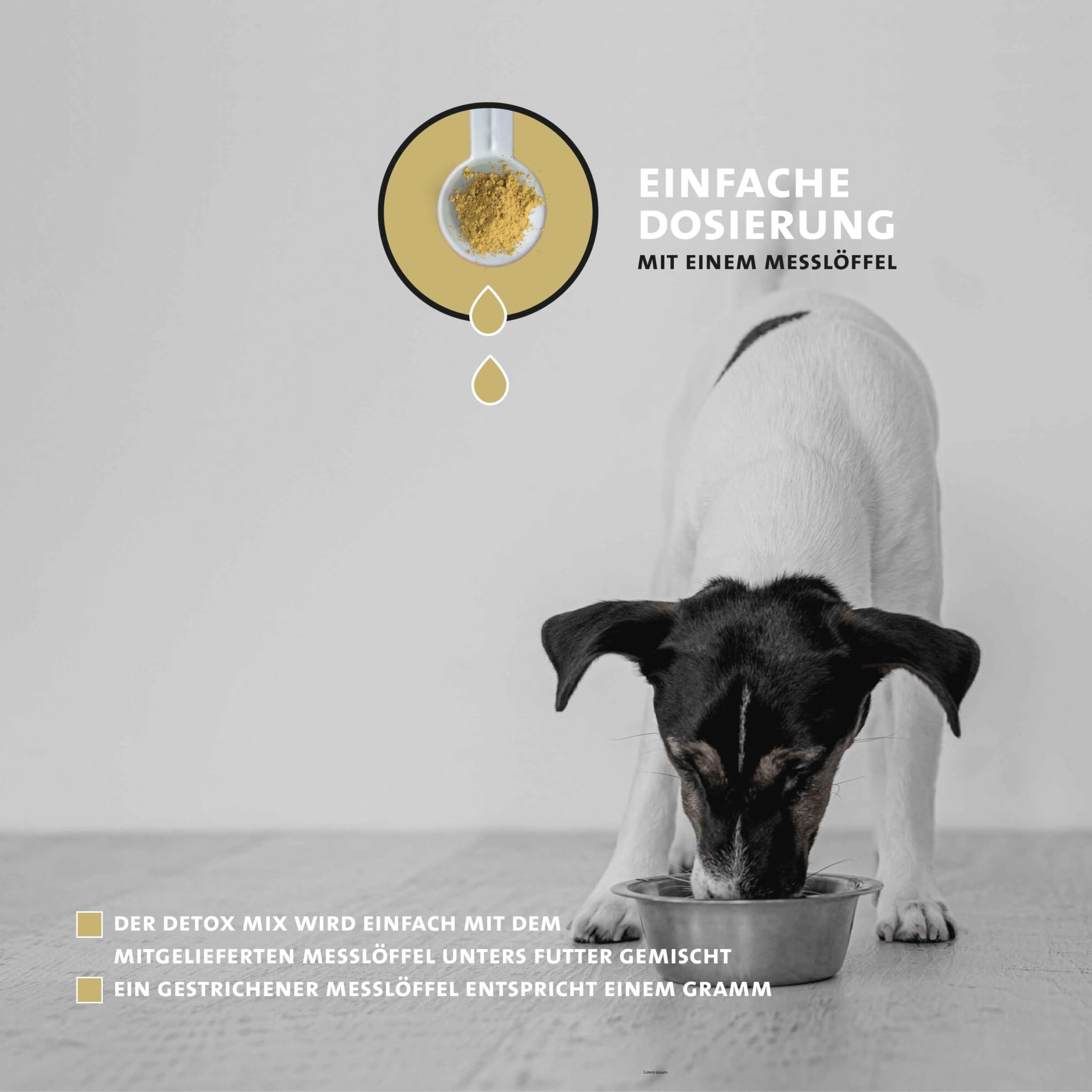 Peticare Detox Entgiftung Pulver für Hunde | Reinigende Formel unterstützt Leber & Nieren, fördert Verdauung & Immunsystem | mit Mariendistel, MSM | natürliches Ergänzungsfutter | petDog Health 2604
