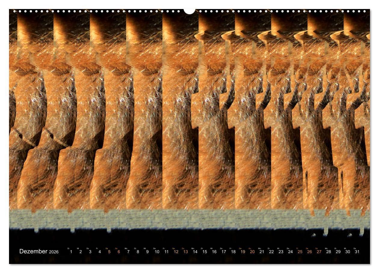Magische Bilder - 3D Stereogramme (hochwertiger Premium Wandkalender 2026 DIN A2 quer), Kunstdruck in Hochglanz: Fantastische dreidimensionale Raumbilder (CALVENDO Spass)
