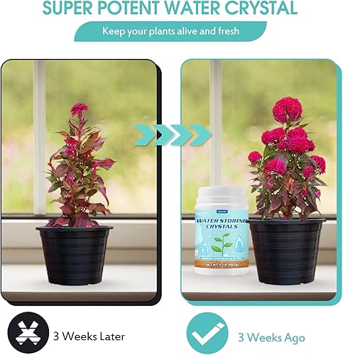 Miniatura 2 de Cristales de almacenamiento de agua de 2 libras para plantas con cuchara, gel de agua que resuelve problemas de riego excesivo y sequía, mantiene el