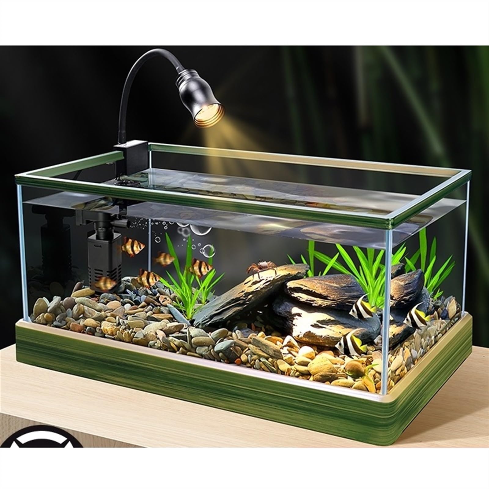Fischtank Transparent Glass Aquarium with Decorative Border Living Room Office Ornamental Glass Aquarium Desktop Transparent Fish Tank Turtle Tank Aquarium(43x26x21cm)