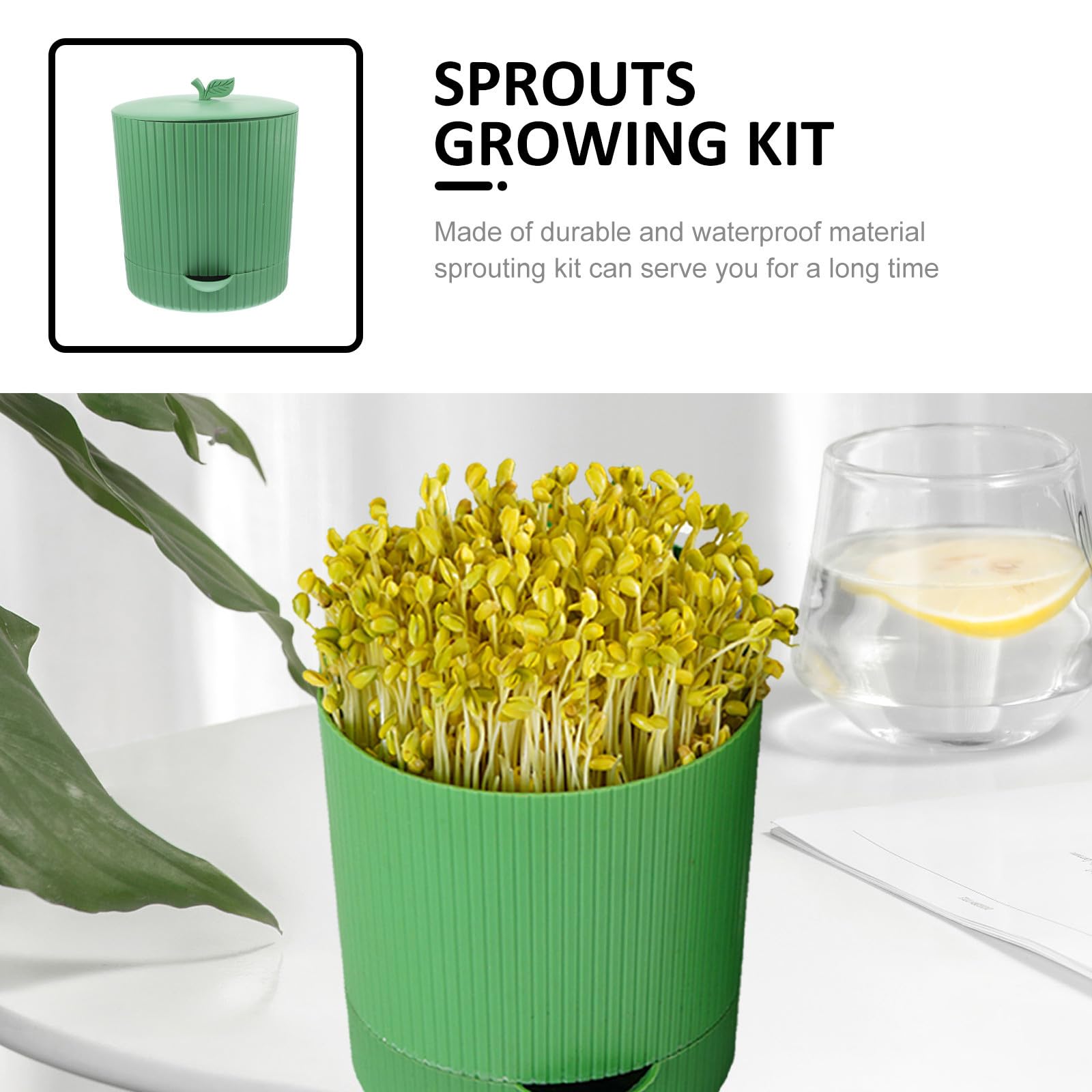 Toddmomy Grünes Sprossen Anzuchtset aus Pp und Stein mit Wasserablauf und Atmungsaktivem Design für Zuhause und Garten zur Einfachen Keimung von Roten Bohnen und Mungbohnen