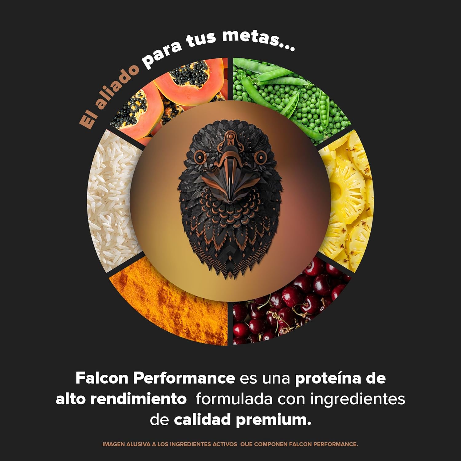 Birdman Falcon Performance Proteina Premium En Polvo, 30gr proteina, 3gr Creatina, Sin Inflamacion, Sin Acne, 10 Sobres Sabor Choco Bronze 420gr