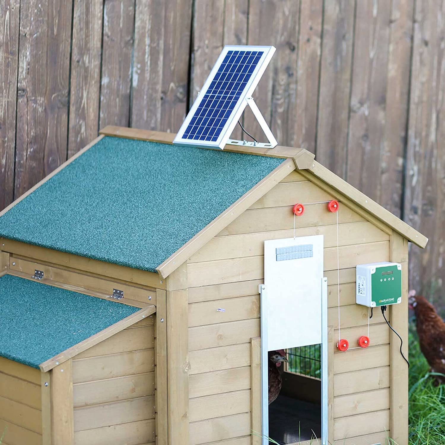 Agrarzone Porta automatica per pollaio fotovoltaica 30 x 40 cm - Triplo controllo: timer, sensore luce o manuale - Robusta, resistente alle intemperie e con stop di sicurezza