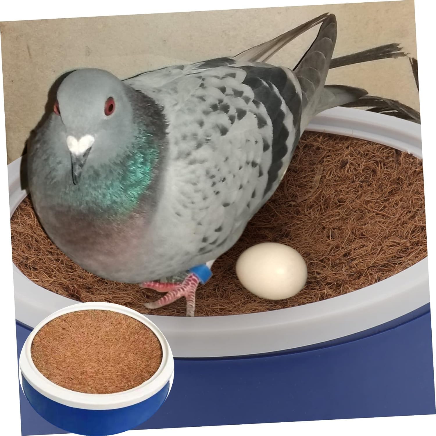 Nid D'oiseaux | Tapis De Nidification Confortable Pour Oiseaux 100 G | Fibre De Coco Naturelle Multi-usages | Nid Pour Petits Animaux Pour Pinsons, Canaris Et Perroquets