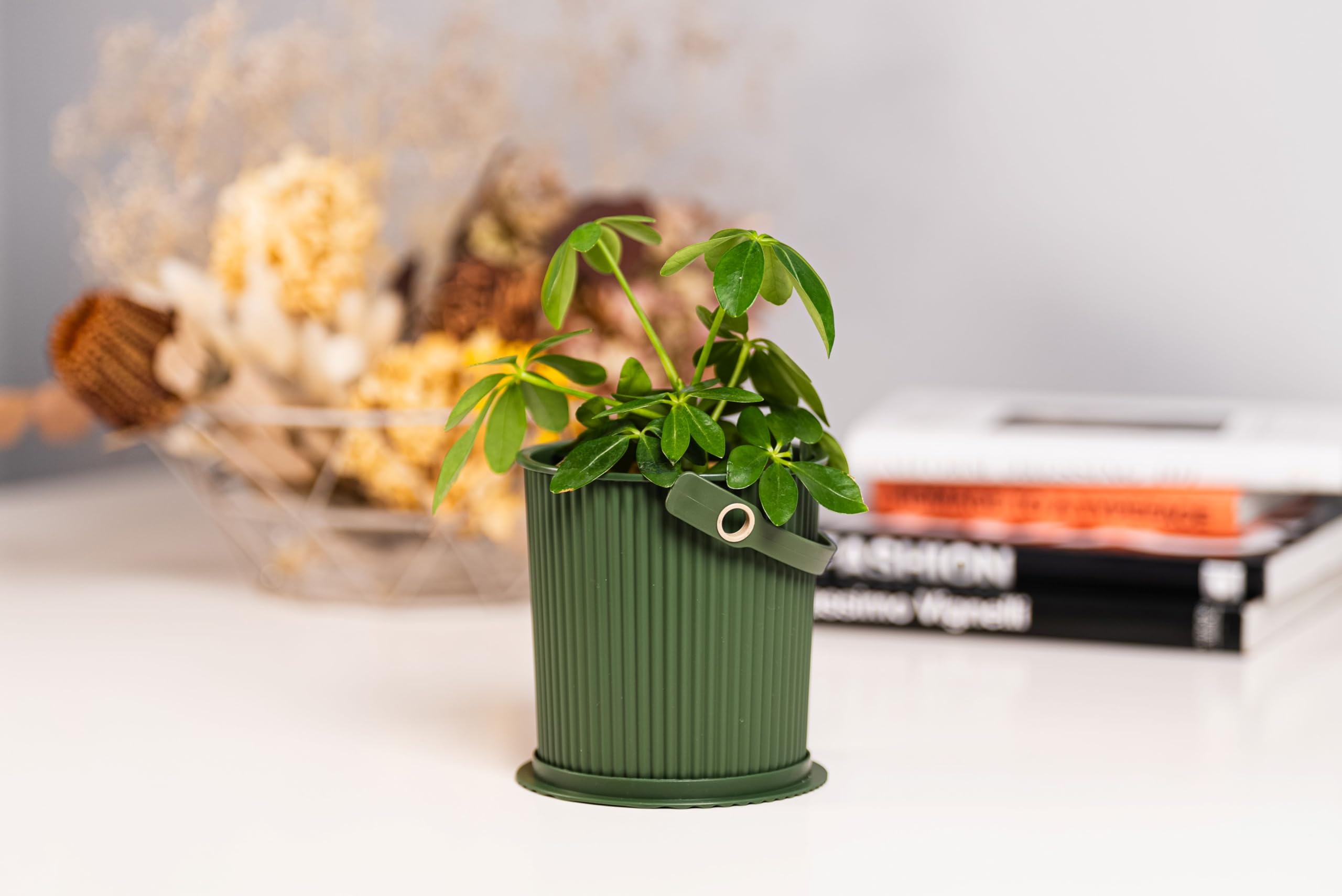 Amazon.com: Hachimankasei Garden Tool Bucket with Lid 0.7L Green