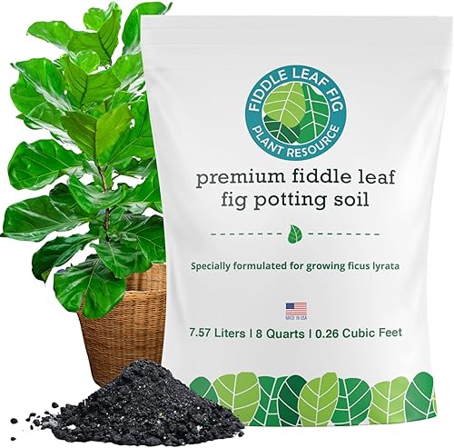 Fiddle Leaf Fig Plant Resource - Mezcla de tierra para macetas de higos de hoja de violín Suelo orgánico prémium con drenaje mejorado para un