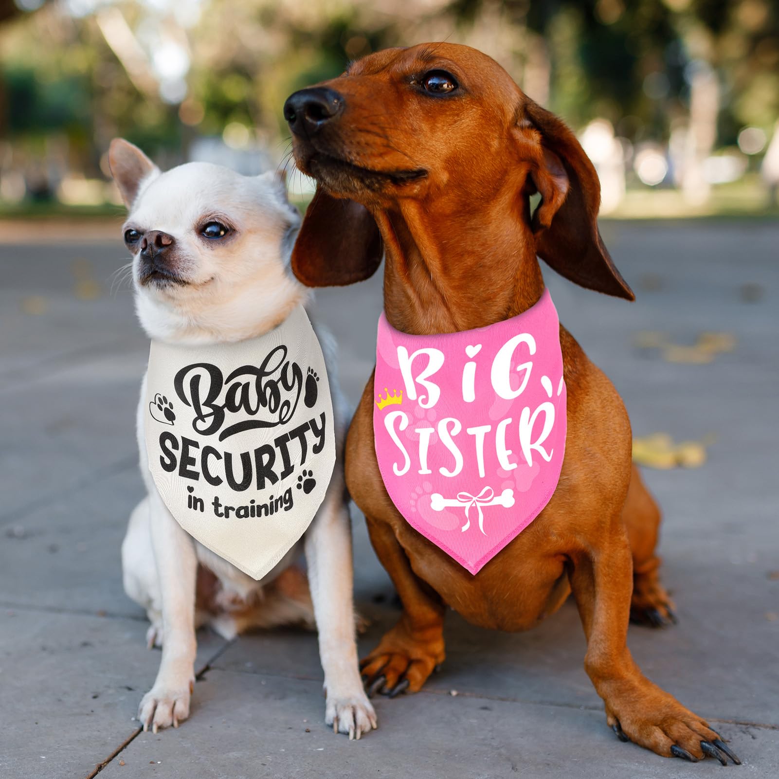 Set di 2 fazzoletti da collo per cani di piccola taglia media e grande, rosa e beige