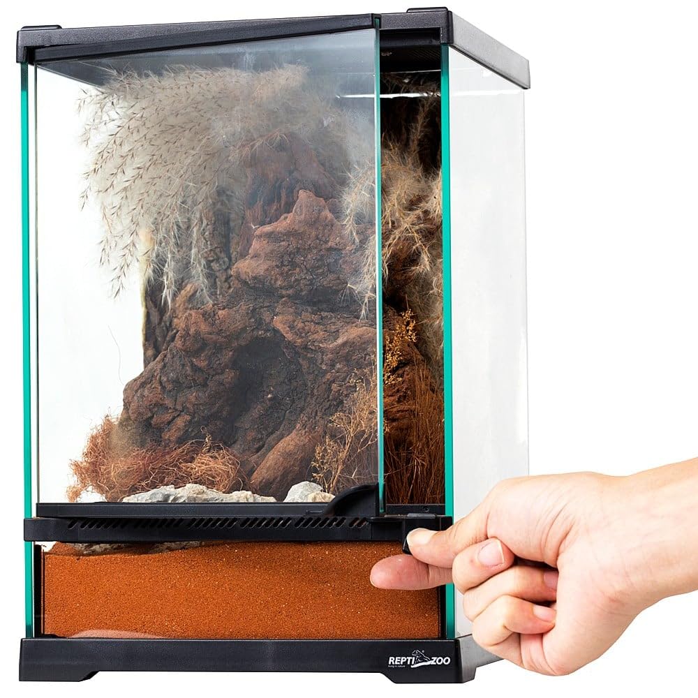 Repti-Zoo Terrario 21 x 21 x 30 cm – Terrario in vetro per rettili, anfibi, aracnidi e insetti