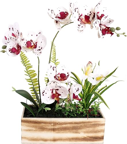 Flor de orquídea artificial de 20 pulgadas, maceta rústica Phalaenopsis, flores falsas para decoración del hogar (blancomorado oscuro)