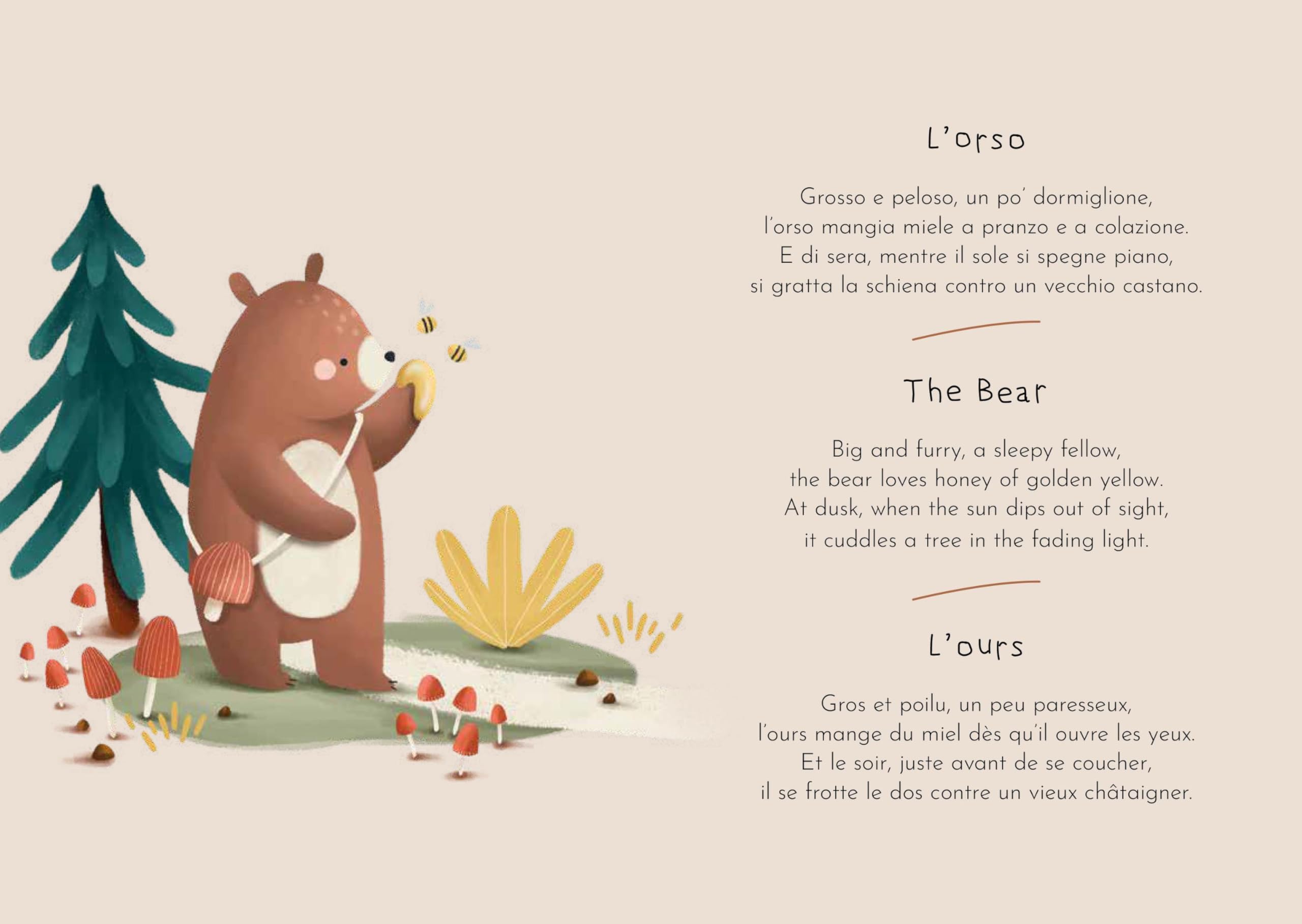 Bosco. Magnetic Box e book. Ediz. a colori. Con magneti: Magnetic Box Set