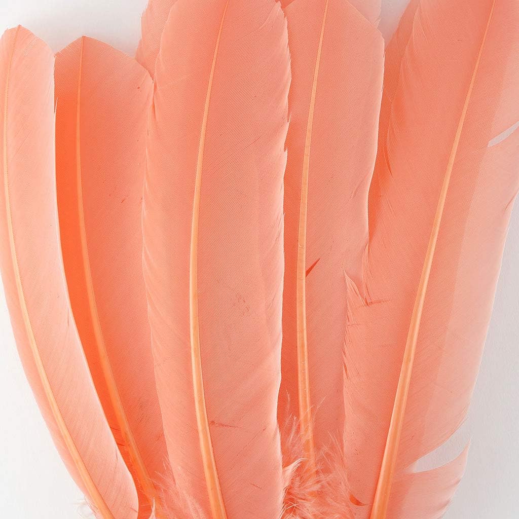 Zucker 10-12 inch Turkey Feathers for Crafts - 4pc Quills for DIY Headdress, Dream Catcher, Home Decor - (Apricot Blush)