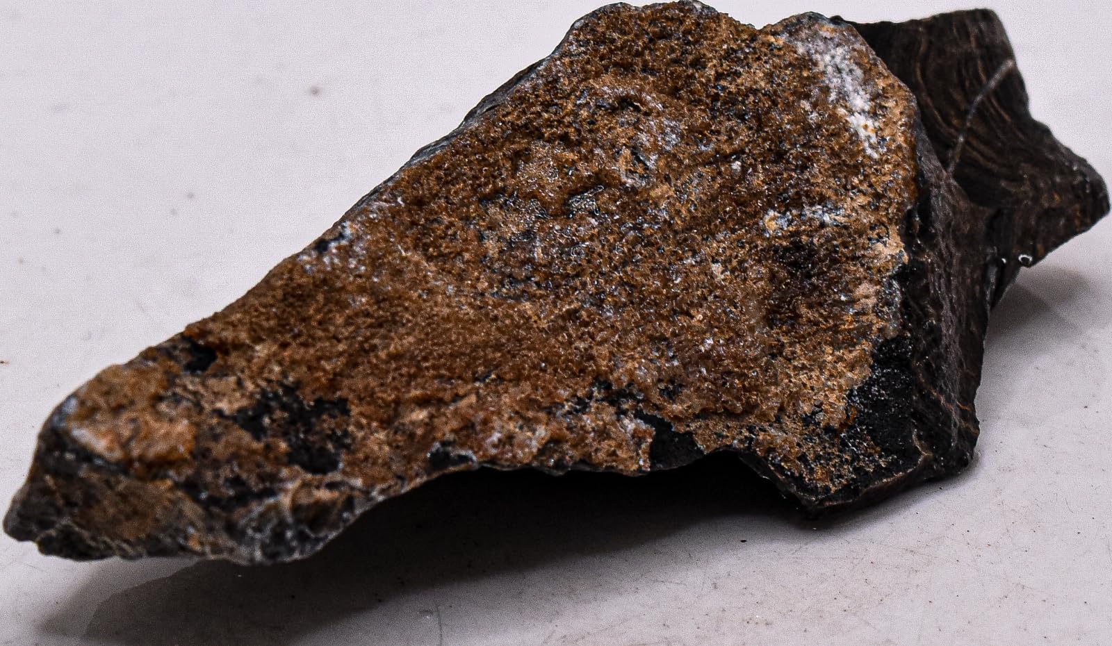 105g 3.7" Black Brown Stromatolite Algae Fossil Rough Natural Fossilized Gemstone Crystal Mineral Raw Specimen for Cabbing - Peru
